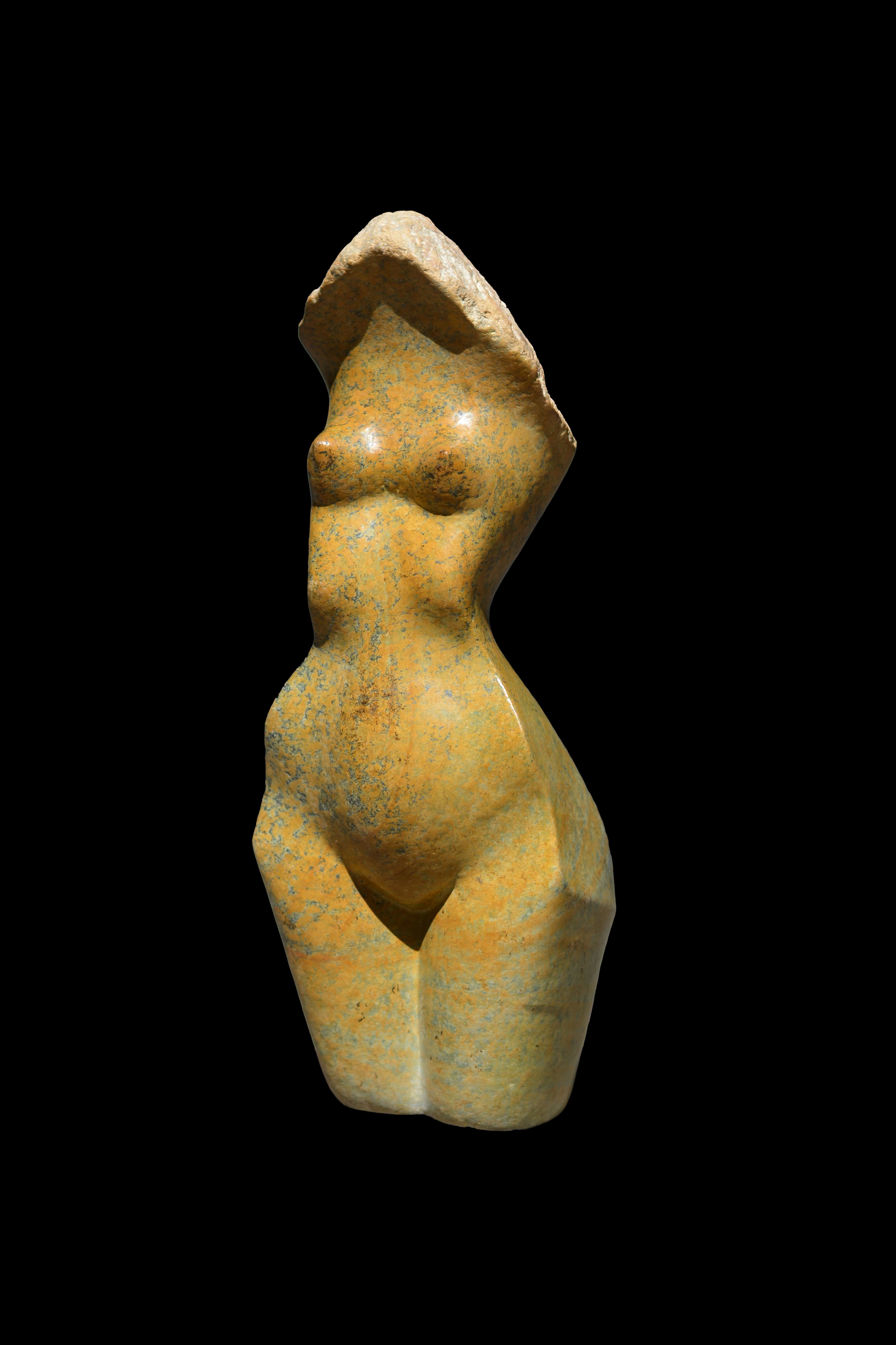 Torso